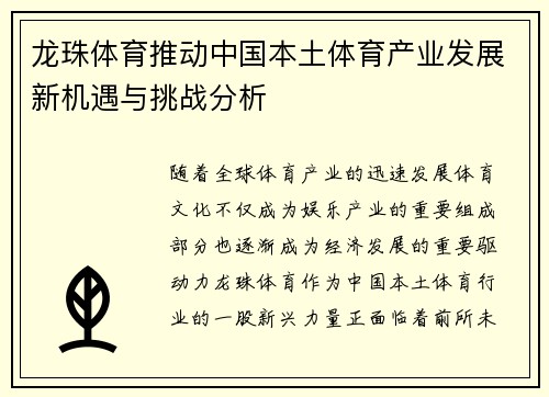 龙珠体育推动中国本土体育产业发展新机遇与挑战分析